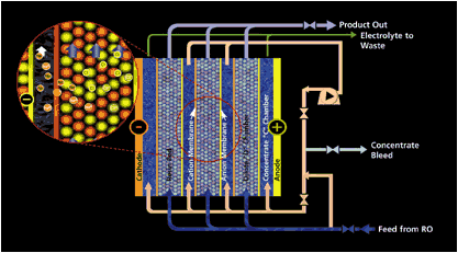 e-cell-diagram